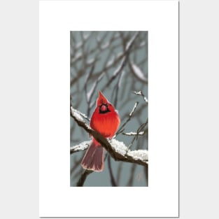 Cardinal in Snow Posters and Art